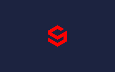 letter s hexagon logo icon design vector design template inspiration