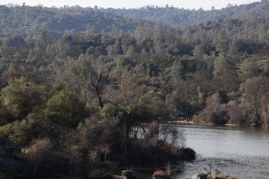 Sierra National Forest, River