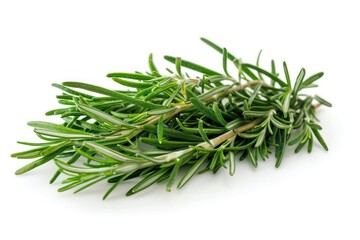 A bunch of rosemary, including rosemary, are displayed on a white background.
