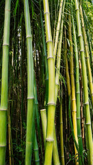 A closeup of bamboo stalks in the colors green and yellow. AI generated illustration.
