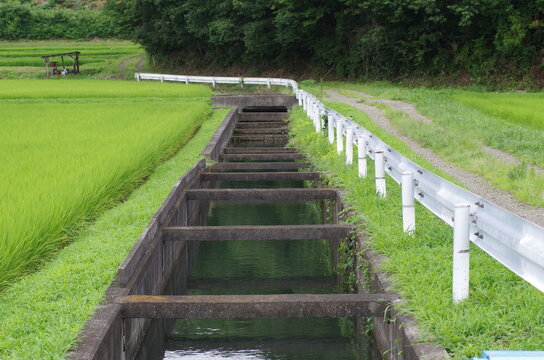 農業用水路
