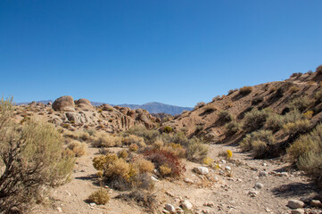 Desert
