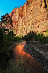 Red sandstone cliffs reflecting on the Virgin river at the Riverside Walk, the trailhead to the Narrows, Zion National Park, Utah, Southwest USA.