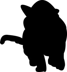 Cute Kitten Silhouette
