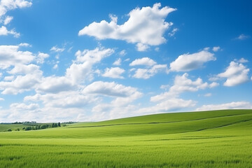 Fototapeta na wymiar Beautiful grassy fields and summer blue sky with fluffy white clouds in the wind. Wide format
