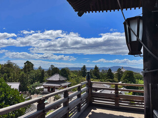 Cultural Oasis: Nara Temple Grounds and Gardens, Kyoto, Japan