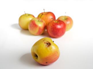 A rotten apple with a wormhole in front of five beautiful fresh apples