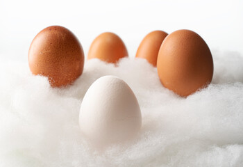 One white and four brown eggs on a fluffy fabric.
