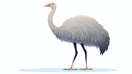 Cartoon ostrich flat vector illustration