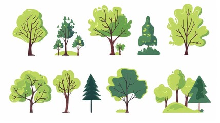 Cartoon trees set isolated on a white background. Simple modern style. Cute green plants, forest,