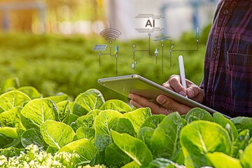 Smart farmer using tablet iot technology analyzing plant health such as water soil moisture