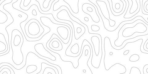 White desktop wallpaper vector design map of.natural pattern has a shiny curved lines,panorama of clean light spots soft lines clean modern.round strokes.
