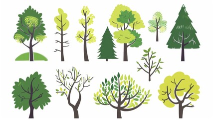 Cartoon trees set isolated on a white background. Simple modern style. Cute green plants, forest,