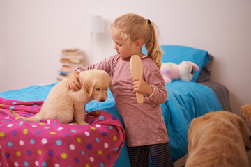Girl, child and puppy with embrace on bed for playing, bonding and protection in bedroom of home with brush. Kid, golden retriever and dog for companion, affection and hug with pet care in apartment