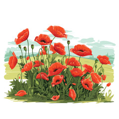 A cluster of poppies in a field. Vector clipart.