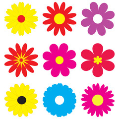 Daisy flowers. Daisy flower vector. Colorful daisy flower. Pattern with daisies. Flat lay, top view. Floral pattern, object . 
