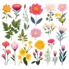 A collection of different types of flowers. Vector clipart.