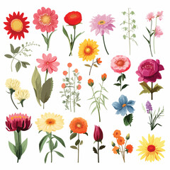 Fototapeta na wymiar A collection of different types of flowers. Vector clipart.