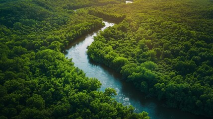 Fototapeta na wymiar A tranquil aerial view of a winding river cutting through lush forests