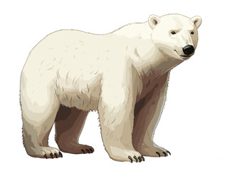 Fototapeta premium Polly Polar Bear Cartoon Full Body Art 