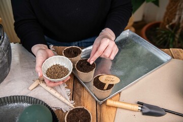 Aussaat im Torftopf, Topf mit Erde füllen, Gemüse selber anpflanzen