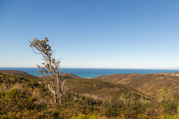 Landscape on a beach close to Aljezur in Portugal