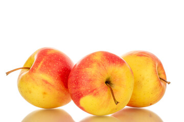 Three yellow apples , macro, isolated on a white background
