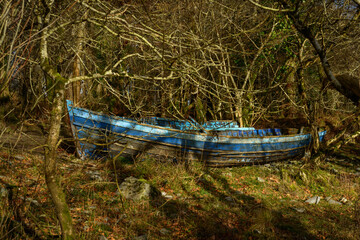 Deserted blue row boat among trees