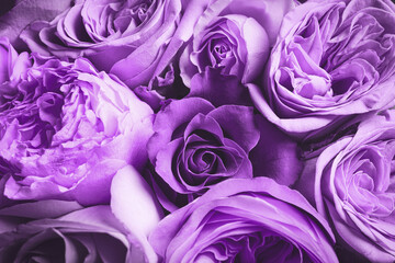 Bouquet with violet flowers as background, closeup. Funeral attributes
