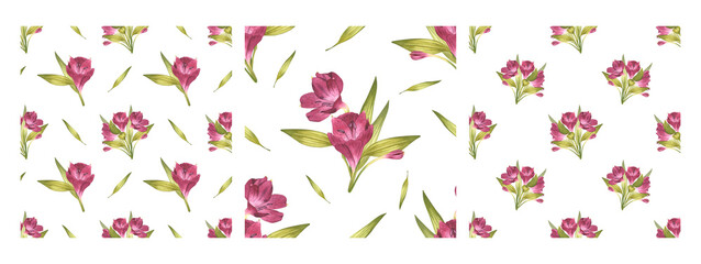 Alstroemeria. Beautiful Peruvian Lilly. Set of seamless patterns of pink flowers with greenery. Watercolor illustration of ornament for background design, textile, packaging