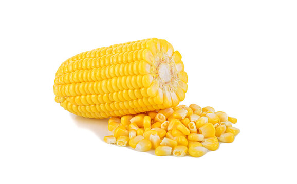 Corn isolated on transparent background. PNG