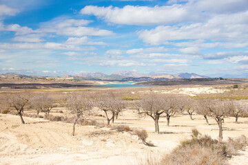 Vega Baja del Segura - La pedan&iacute;a oriolana de Torremendo, su entorno y el embalse de la Pedrera o pantano de Torremendo