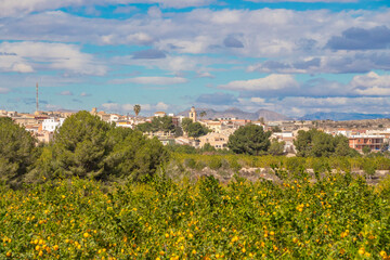 Obraz premium Vega Baja del Segura - La pedanía oriolana de Torremendo, su entorno y el embalse de la Pedrera o pantano de Torremendo
