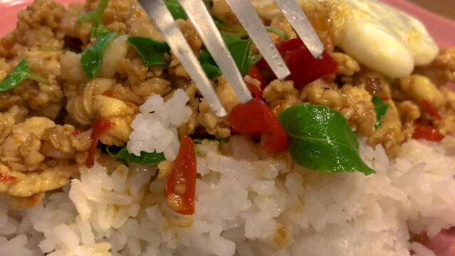March 8, 2024 - Bangkok, Thailand. A classic Thai dish, Pad Krapow Gui, also known in English as stir fried holy basil chicken. This dish was served over rice with a soft fried egg on top.