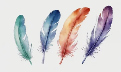 Papier Peint photo Plumes Watercolor feathers set. Hand drawn illustration isolated on white background.