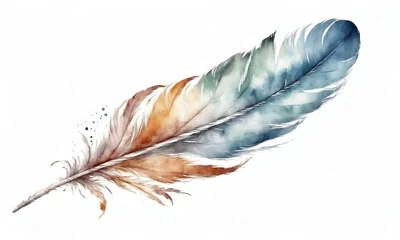 Foto op Aluminium Veren Watercolor feather isolated on white background. Hand-drawn illustration.
