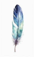 Watercolor feather isolated on white background. Hand-drawn illustration.