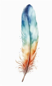 Watercolor feather isolated on white background. Hand-drawn illustration.