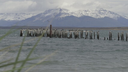 Slow Motion Video of an Old Wooden Pier in Patagonian Puerto Natales