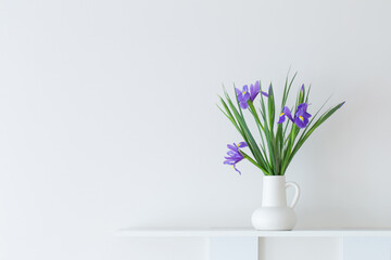 irises in white jug on white background