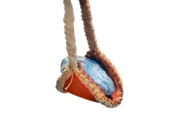 Roman slingshot of leather Vintage weapons for throwing metal shells and stones, isolated on a white background. Retro equipment of soldiers in ancient Rome, reconstruction.