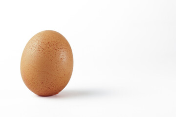 fresh chicken egg standing upright isolated on white background