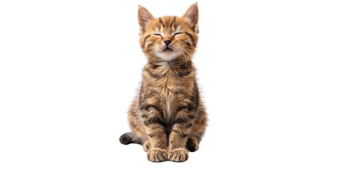 Adult cat sitting and lounging centered on a white background. Image generated by AI