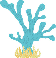 Coral Illustration
