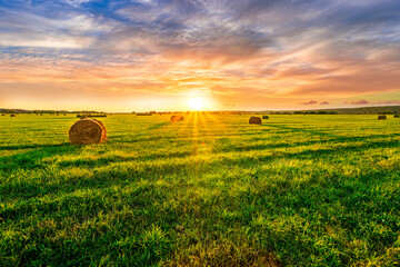 sunset field with green grass , hay stacks and beautiful cloudy sky on background of landscape