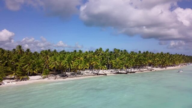 Palm trees aerial top view. Carribean tropical paradise isolated island aerial drone view. San Blas, Panama, tropical white sand beach with turquoise sea waters and corals.