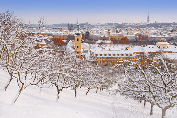 Orchard garden, ¨snow in Prague, rare cold winter conditions. Prague Castle in Czech Republic, snowy weather with trees. City landscape from beautiful town. Winter travelling in white Europe.
