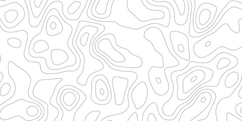 White curved lines geography scheme map background,clean modern round strokes topography.lines vector.abstract background.vector design.terrain texture soft lines.
