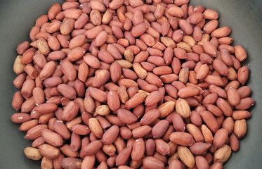 落花生・ピーナッツ／땅콩 · 땅콩／Peanuts・Peanuts