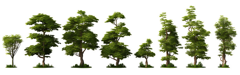 Obraz premium Jungle rain forest trees shapes cutout 3d render png set